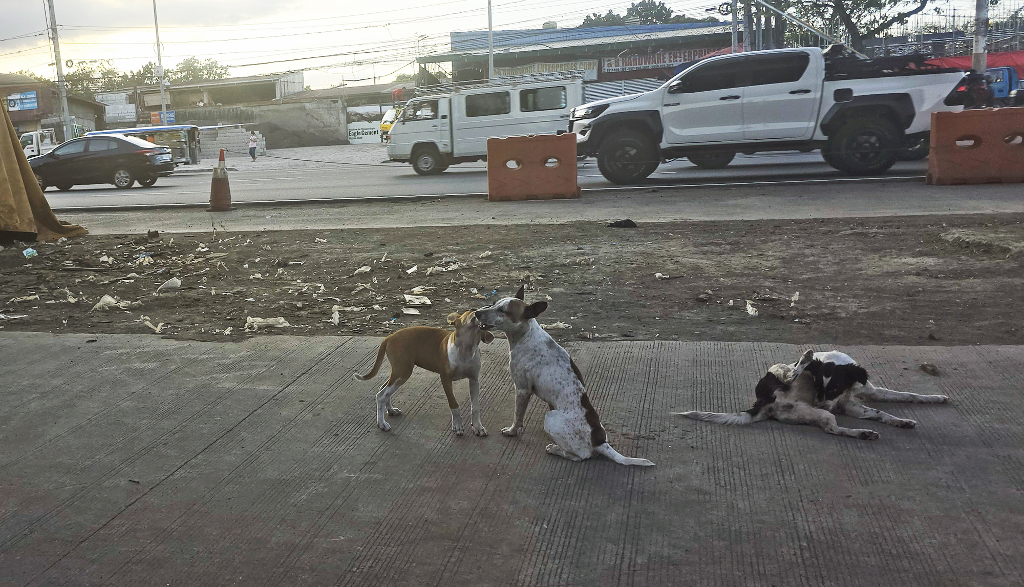 Rulers of Commonwealth Avenue